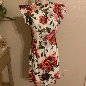 Dolce & Gabbana Multicolor Floral Mini Dress